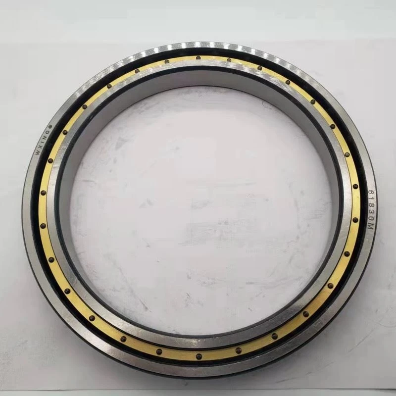 61830M bearing3